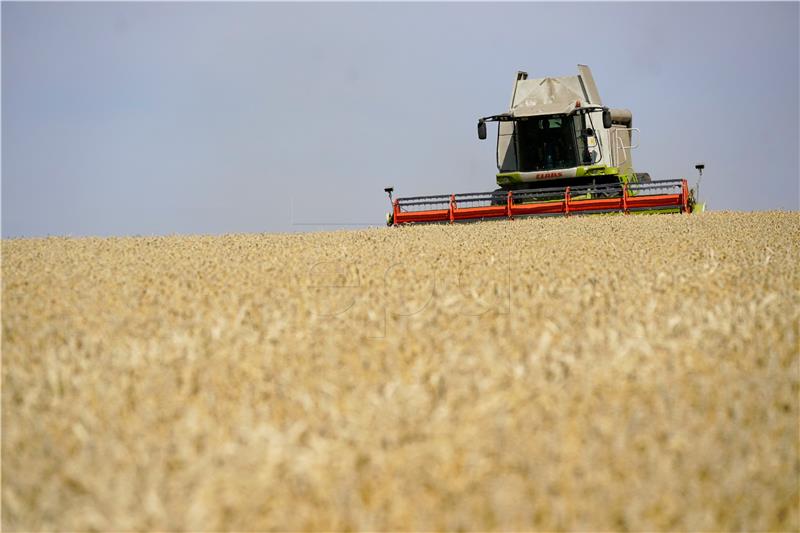 Rusija razmatra ograničenje izvoza žitarica zbog epidemije