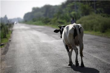 INDIA PANDEMIC CORONAVIRUS COVID-19