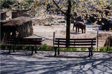 Zoo in Cologne