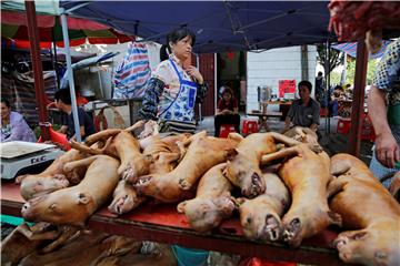 (FILE) CHINA GASTRONOMY DOG MEAT