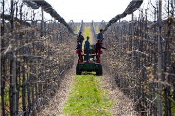 HUNGARY AGRICULTURE