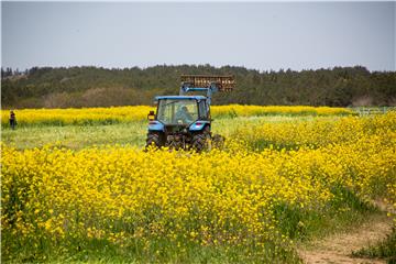 SOUTH KOREA NATURE PANDEMIC CORONAVIRUS