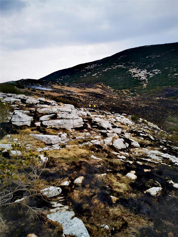 Na Dinari izgorjelo oko 2000 hektara trave i niskog raslinja