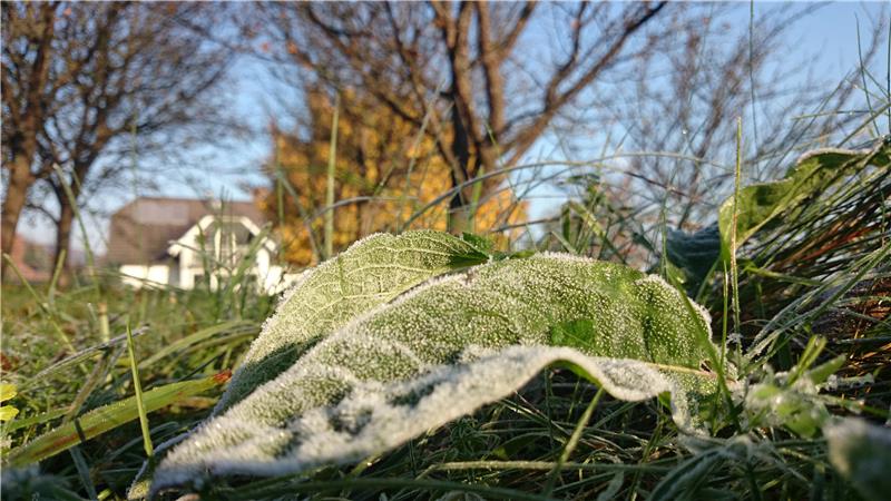 Virovitica: Proglašena prirodna nepogoda zbog mraza 