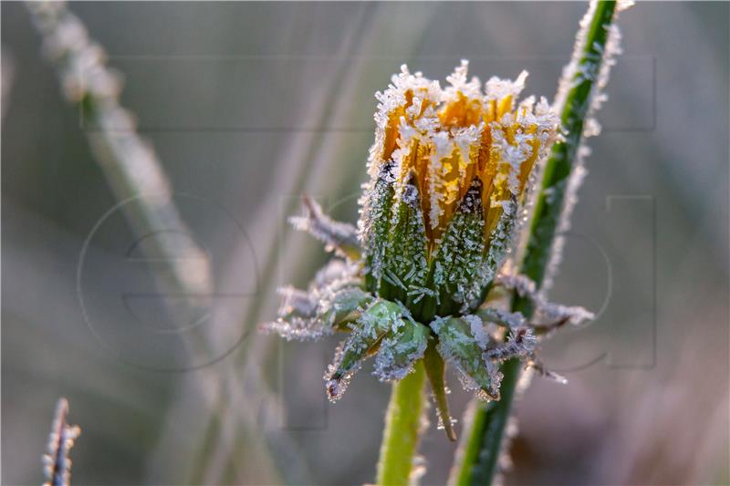 HUNGARY WEATHER FROST