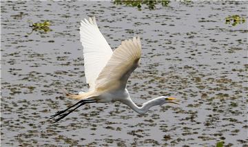 COLOMBIA NATURE WILDLIFE