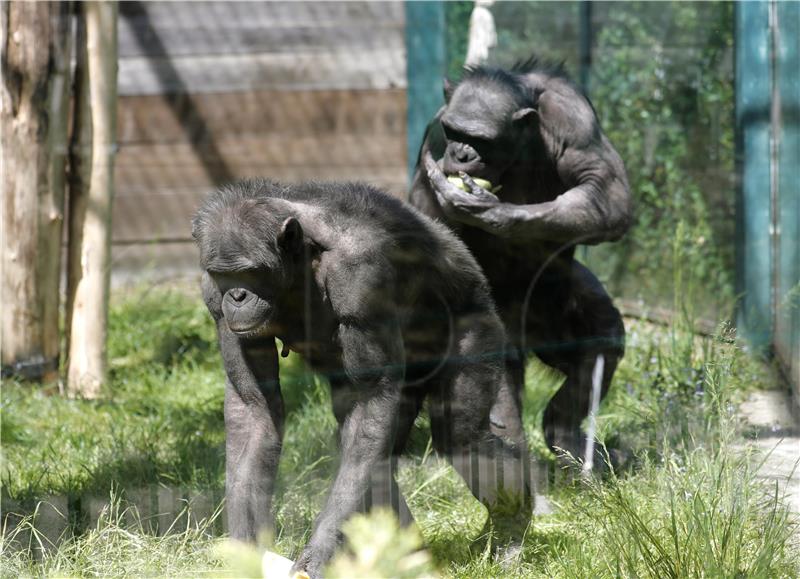 CROATIA ANIMALS ZAGREB ZOO