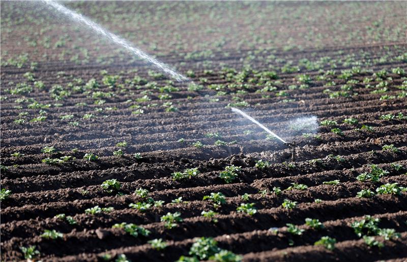 GERMANY AGRICULTURE WEATHER