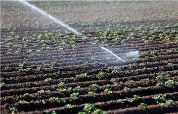 GERMANY AGRICULTURE WEATHER