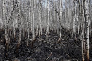 POLAND FIRE NATIONAL PARK