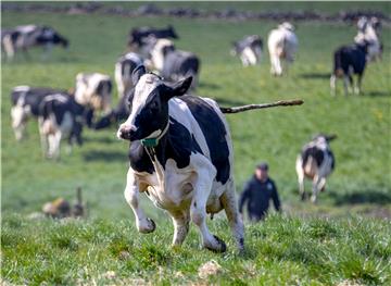 SWEDEN AGRICULTURE