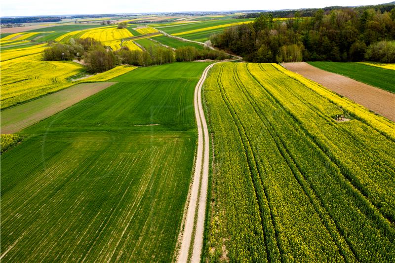 POLAND AGRICULTURE