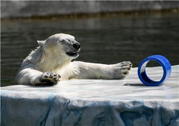 Zoo reopens in Berlin