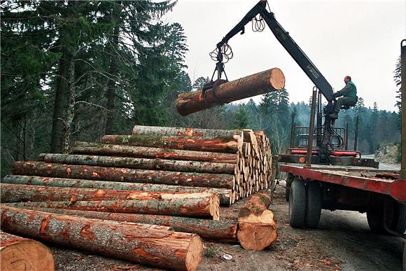 Konjščina: Stablo kod sječe palo na traktor i ubilo 64-godišnjaka