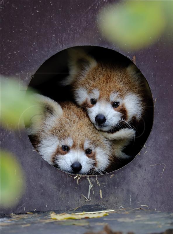 Zagrebački ZOO otvara se 1. svibnja 