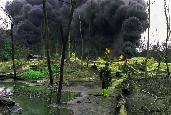 Afrika jedini kontinent na kojemu se ubrzava deforestacija