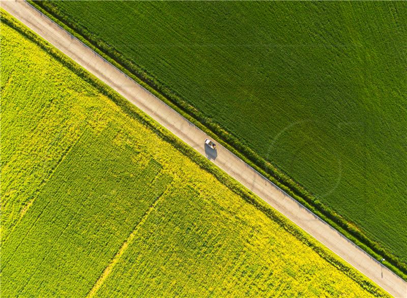 ITALY PHOTO SET VALDORCIA REGION TUSCANY