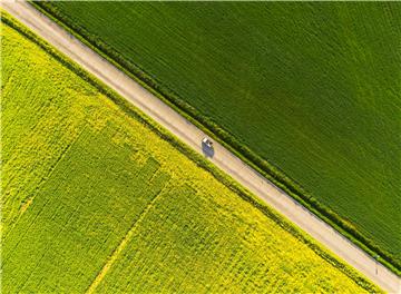 ITALY PHOTO SET VALDORCIA REGION TUSCANY