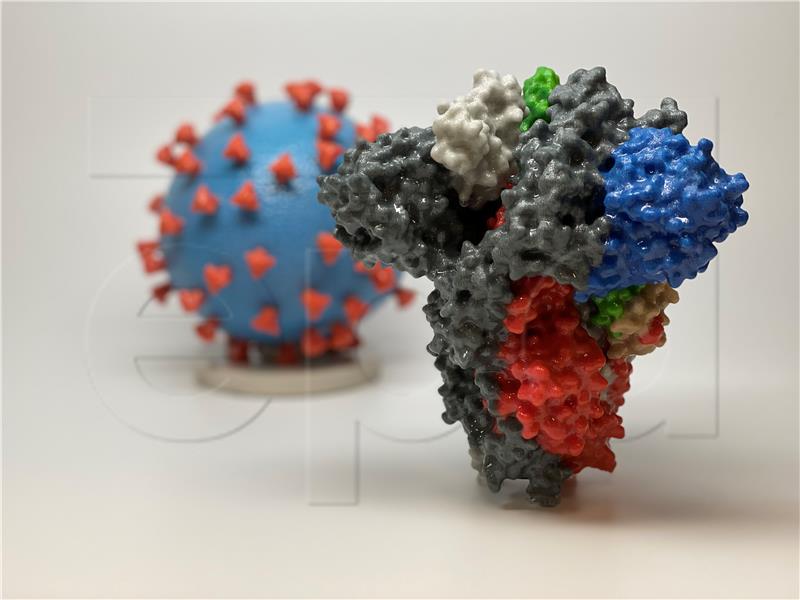 Koronavirus pronađen u ejakulatima