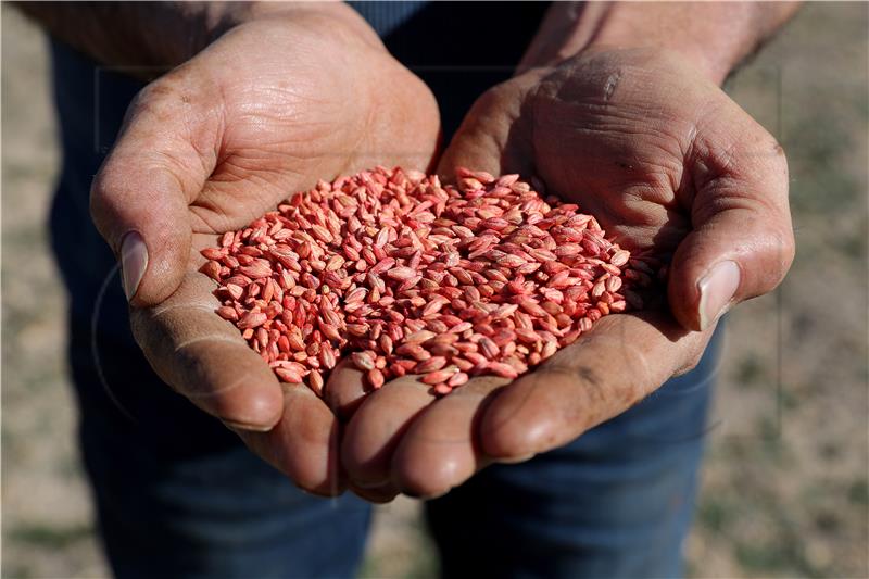 AUSTRALIA CHINA AGRICULTURE DIPLOMACY BARLEY