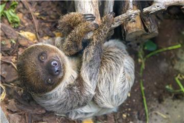 POLAND LODZ ZOO