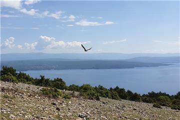 Croatia observes World Biodiversity Day with slogan "Our solutions are in nature"