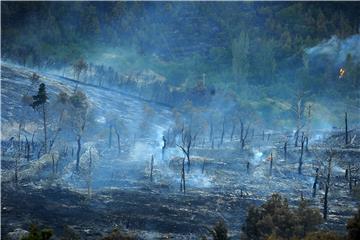 Požar na Braču zahvatio minski sumnjivo područje, čule se detonacije