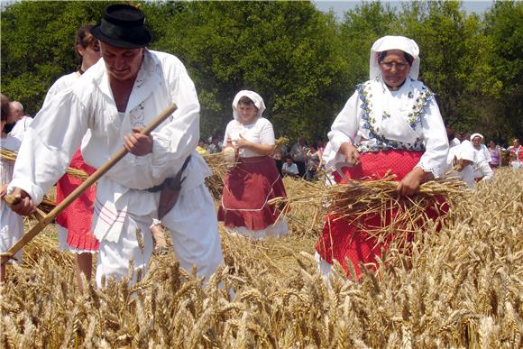 Volim svoju županiju: Najviše glasova fotografiji "Slavonska polja" 