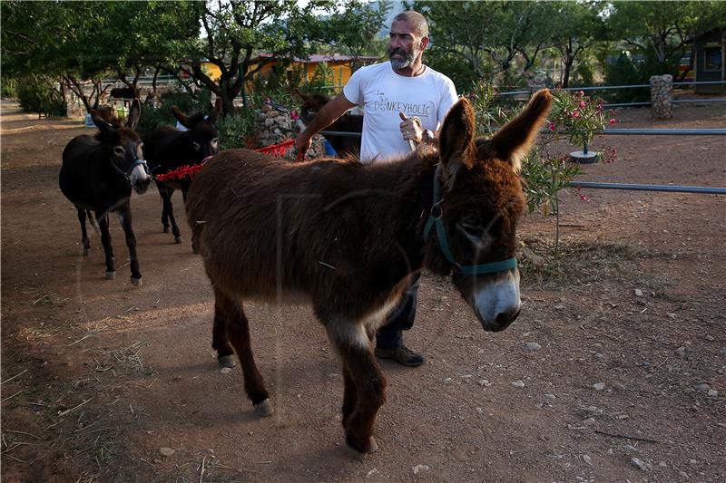 GREECE PHOTO SET DONKEY SHELTER