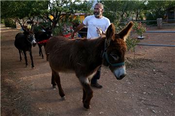 GREECE PHOTO SET DONKEY SHELTER