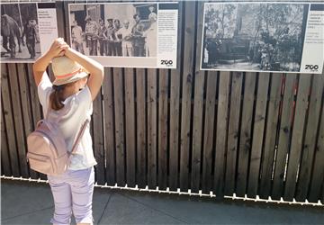 Zagrebački ZOO slavi 95. rođendan i prvi rođendan mravojeda Nosonje