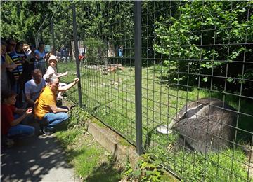 Zagrebački ZOO slavi 95. rođendan i prvi rođendan mravojeda Nosonje