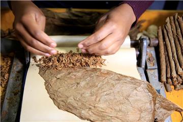 ZIMBABWE ECONOMY CIGARMAKING