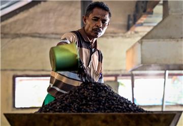 EAST TIMOR AGRICULTURE COFFEE