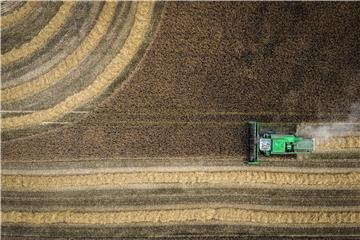 GERMANY AGRICULTURE BARLEY HARVEST