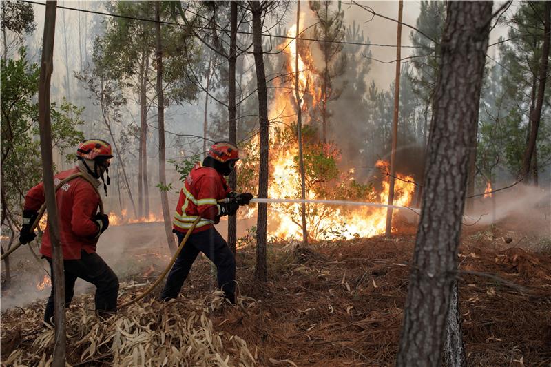 PORTUGAL FOREST FIRE