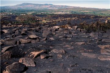 SPAIN FOREST FIRE