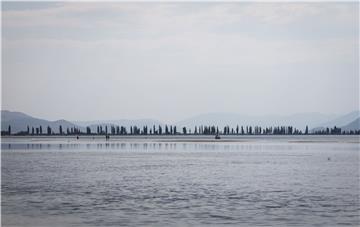 Turisti na ušću Neretve