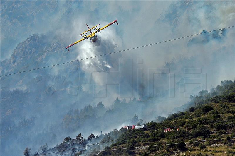 Number of wildfires 16% down from 2019, area consumed by fires larger