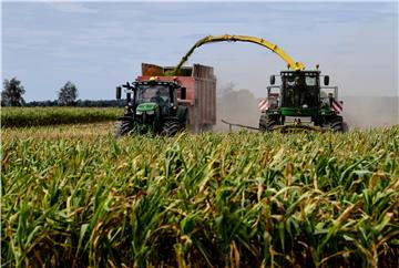 GERMANY AGRICULTURE CORN HARVEST