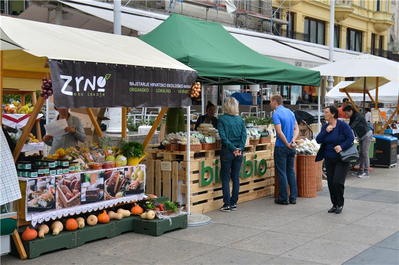 Otkazan Festival ZeGeVege,  dio programa na internetu