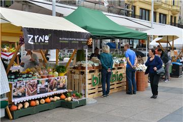 Otkazan Festival ZeGeVege,  dio programa na internetu