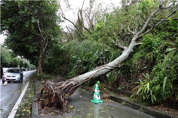 JAPAN WEATHER TYPHOON MAYSAK