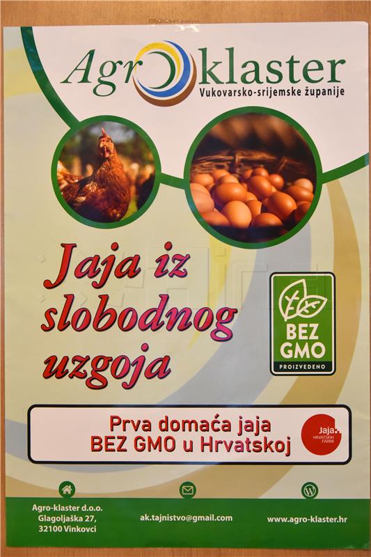 Predstavljanje certifikata GMO free za jaja iz slobodnog uzgoja