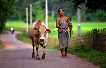 INDIA DAILY LIFE