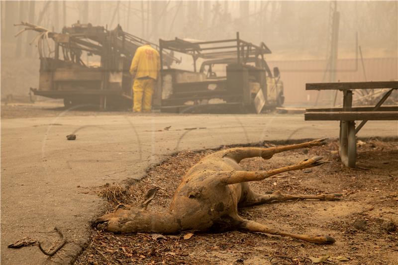 USA CALIFORNIA FIRES