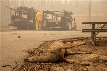 USA CALIFORNIA FIRES