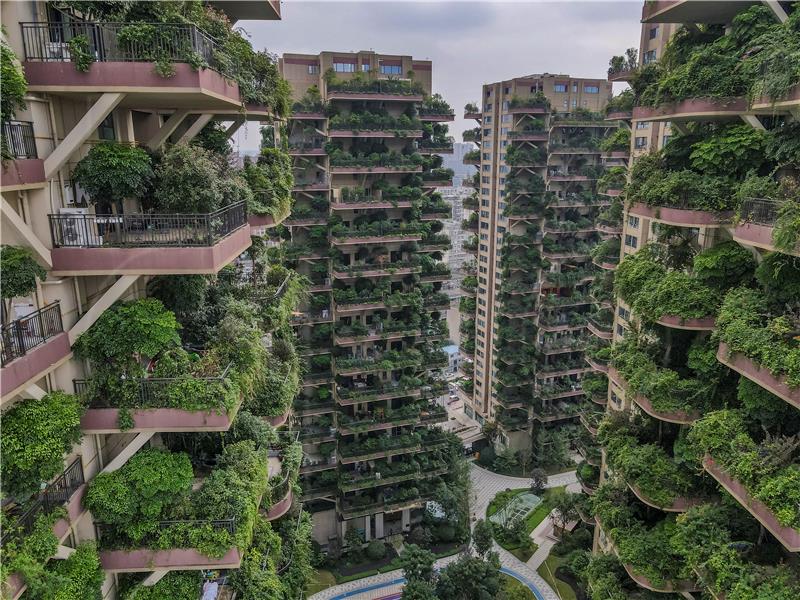 CHINA ECOLOGICAL RESIDENTIAL PROJECT