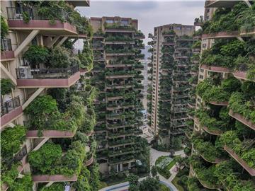 CHINA ECOLOGICAL RESIDENTIAL PROJECT