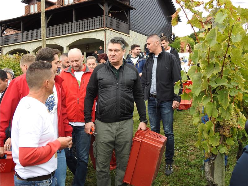 Traditional grape harvest feast held in northern Croatia 